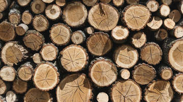 5 advantages of using wood: your next favorite building material